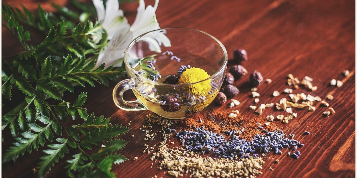 Somn deficit? 7 plante, aliate naturale pentru o zi odihnită