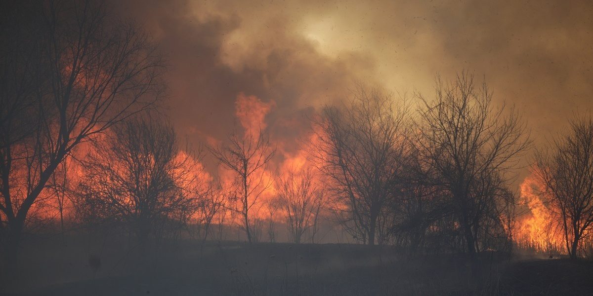 Incendii majore în Caraș-Severin: Pompierii luptă cu flăcările și riscul de extindere
