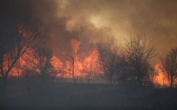 Incendii majore în Caraș-Severin: Pompierii luptă cu flăcările și riscul de extindere