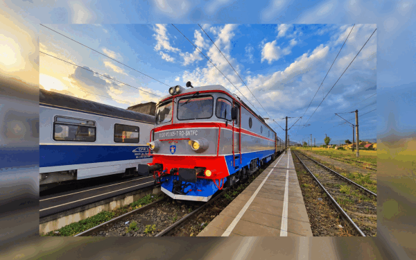 Pericol pe șine: Două trenuri oprite brusc