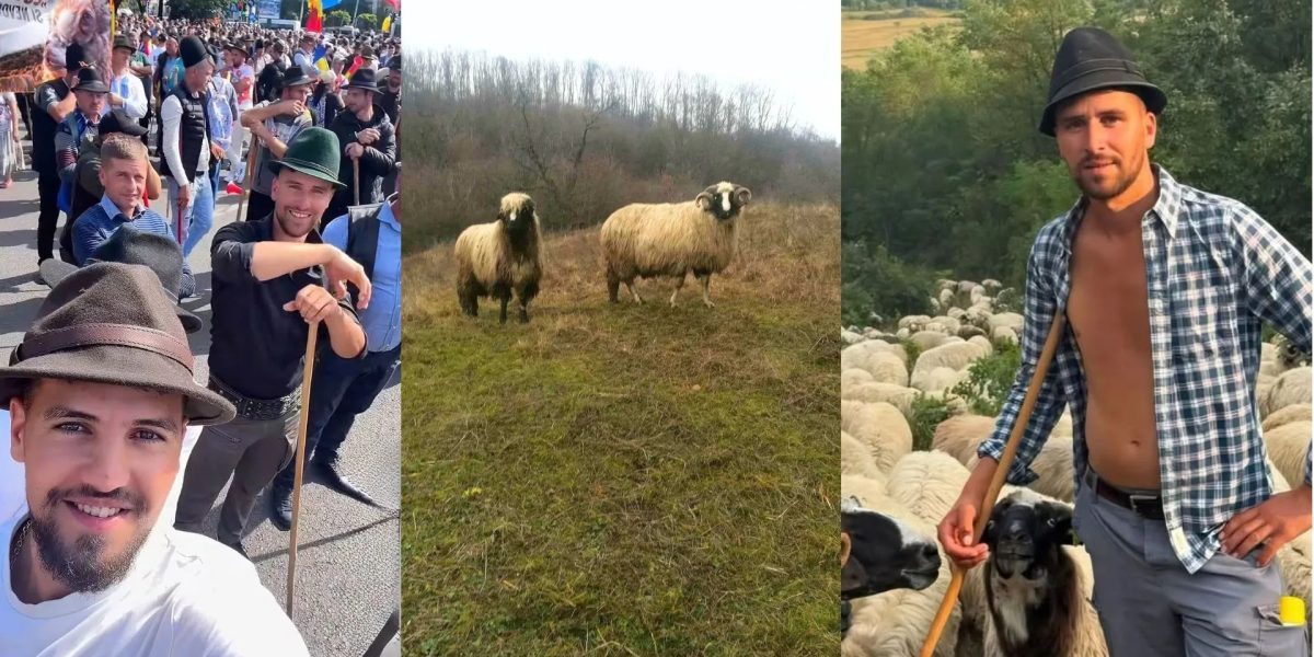 Ciobanul și-a vândut calul pe 3000 euro pentru fratele reținut